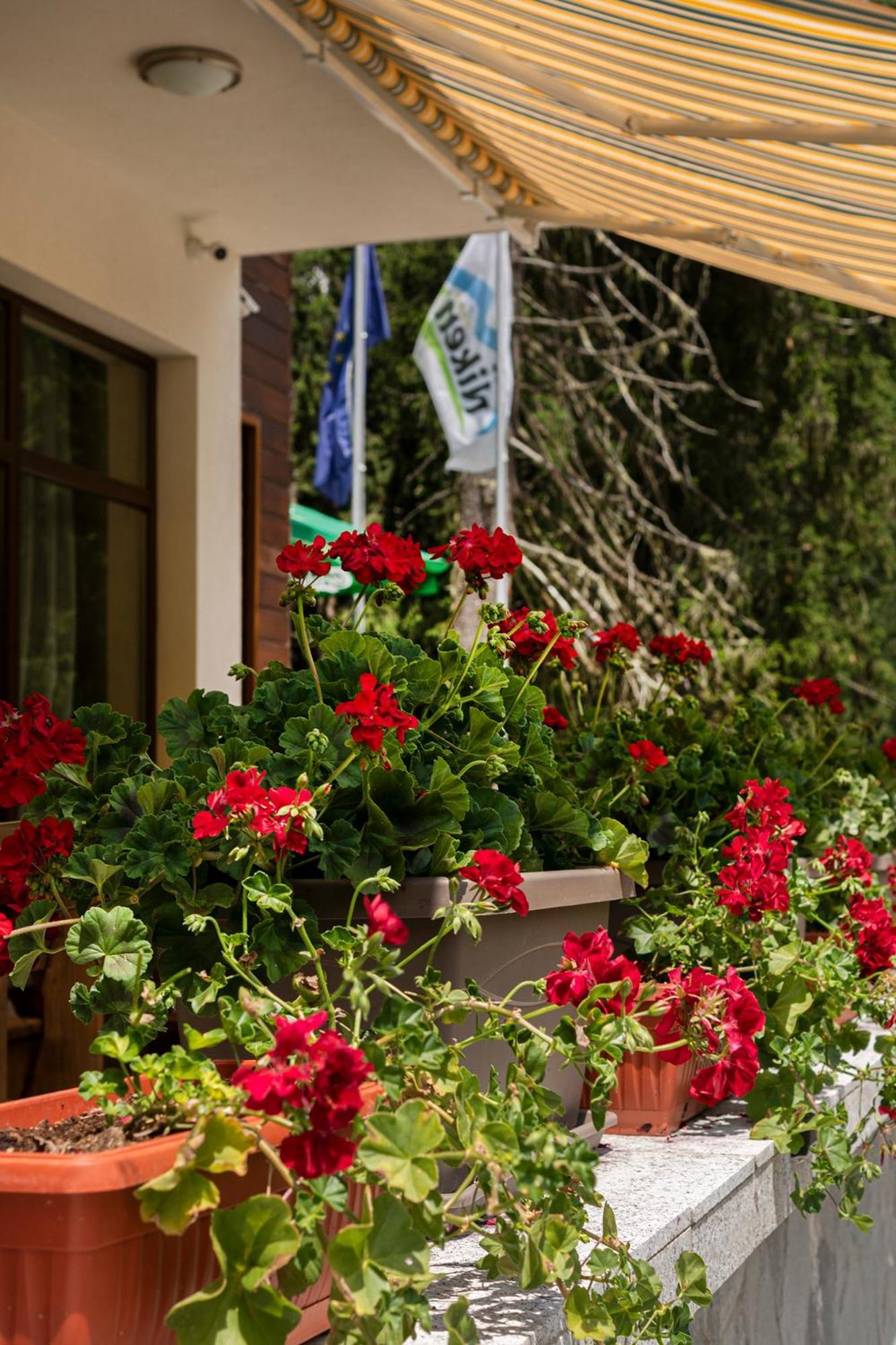 Hotel Niken Παμπόροβο Εξωτερικό φωτογραφία